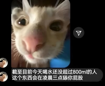 一张猫咪特写照片，画面中是一只白色猫咪的近距离面部特写，它睁着大大的眼睛直视镜头，表情看起来有些惊讶或好奇。图片下方配有文字：'截至目前今天喝水还没超过800ml的人 这个东西会在凌晨三点舔你屁股'，用幽默夸张的方式提醒人们要多喝水。左下角有两个小圆形图标，显示一只手握着类似笔的物品。右上角有一个圆形的分享图标。