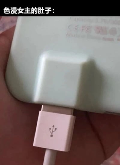 这是一张带有低俗玩梗性质的静态文字加注图，图片顶部配有文字“色漫女主的肚子:”，下方展示了一根带有USB标识的白色充电线插入浅色充电宝充电接口的画面。创作者利用充电线插入接口的视觉造型，低俗地将其类比为色情漫画中女主的腹部相关场景，通过这种错位的视觉联想制造恶趣味的梗，属于网友自发创作的脑洞类玩梗内容。