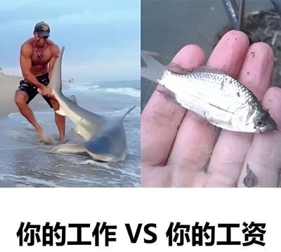 图片为左右对比结构，左侧是一名肌肉发达的男子在海滩上吃力地拖拽一条体型较大的鲨鱼，象征“你的工作”；右侧是一只手捧着一条非常小的银色小鱼，象征“你的工资”。图片下方配有文字“你的工作 VS 你的工资”，通过夸张的大小对比，幽默地讽刺了工作付出与薪资回报不成正比的现象，引发职场人士共鸣。