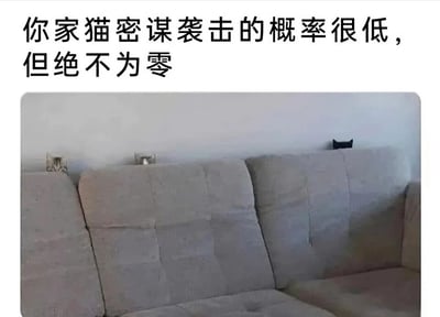 这是一张图文结合的趣味梗图，上方配有文字“你家猫密谋袭击的概率很低，但绝不为零”，下方是一张实拍的沙发照片。沙发的三个靠背上方，左右两个是沙发面料破损后露出的内部结构，形状酷似猫耳朵，最右侧则是一只黑猫真正的耳朵，猫咪躲藏在沙发靠背后方只露出耳朵，和左右两侧的“假猫耳”形成呼应，营造出三只猫咪躲在沙发后“密谋”的错觉，用幽默的方式调侃猫咪喜欢偷偷观察主人、突然发起“袭击”（比如扑咬主人手脚）的调皮习性，充满了养猫日常的趣味感。