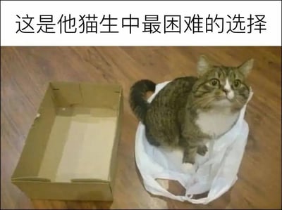 这是一张搞笑表情包，采用顶部配文加下方实拍图的形式，顶部配文为“这是他猫生中最困难的选择”。画面背景是木质地板，右侧一只虎斑加白的猫咪正蹲坐在白色帆布袋里，睁着圆溜溜的眼睛抬头看向上方，表情看起来懵懂又纠结，猫咪的左侧放着一个空置的打开的纸箱子。该图利用猫咪天生喜爱钻纸箱子、也喜爱钻布袋的习性制造梗点，用来调侃人面临两个都想要的选项时，难以抉择的纠结处境。