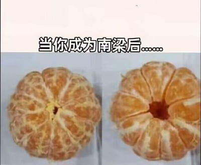 这是一张左右对比的文字加注梗图，上方配有文字“当你成为南梁后……”。左侧是一个剥去外皮但保留橘络、中心带有果蒂的完整剥好的橘子，右侧则是同一个橘子被挖去中心果蒂、橘瓣松散开来的状态。图中运用了谐音梗，“南梁”谐音“难凉”，以橘子从完整到被掏空散开的视觉变化，调侃人在经历消耗后，即便状态松散也依旧“难凉”（如“热血难凉”的状态），或是自嘲被“掏空”后却依旧没法真正“凉透”的矛盾处境，用生活化的水果变化来表达情绪，风格轻松搞笑。