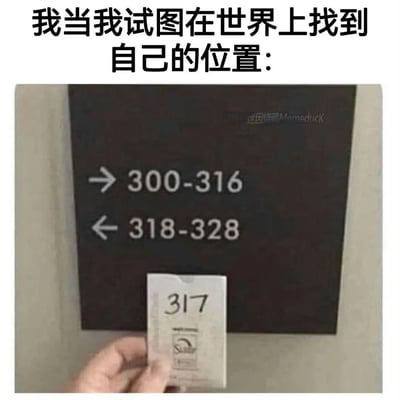 这张梗图上方配文“我当我试图在世界上找到自己的位置：”，下方展示了一个楼层指示牌：箭头向右指向房间号区间300-316，向左指向318-328，而一只手拿着写有“317”的卡片，恰好卡在两个区间的空白处。用数字区间的空缺，精准比喻了人在生活、社交或职场中找不到自身定位，仿佛被“排除在外”的尴尬与迷茫，戳中了很多人缺乏归属感的情绪点。图中没有双关、谐音梗，仅通过场景的巧妙搭配传递情绪。