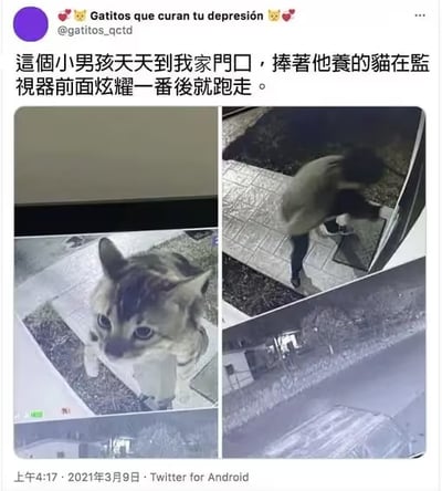 这是一张社交媒体内容截图，上方是发布者的账号信息，配文说明有个小男孩每天都会跑到发布者家门口，捧着自己养的猫在门口的监视器前展示炫耀之后就跑走；下方是监控实拍的两组画面，左侧画面是被举到镜头前的小猫的特写，小猫睁着圆眼睛看向监控镜头，右侧画面分别是小男孩举着猫站在门口的画面、以及小男孩炫耀完跑走的画面，整体内容温馨治愈、十分有趣。