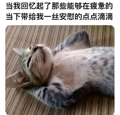 图片上方为黑色文字：“当我回忆起了那些能够在疲惫的当下带给我一丝安慰的点点滴滴”，下方是一只灰白相间的虎斑猫仰卧在棕色纹理表面（疑似沙发或地毯）上的照片。猫咪双眼微闭，四肢自然舒展，露出白色肚皮，表情放松惬意，整体画面传递出疲惫生活中回忆温暖瞬间的治愈感。