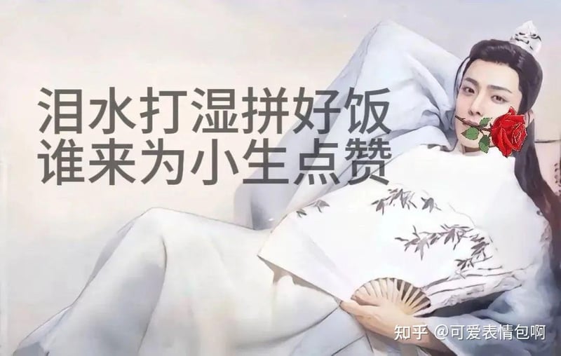 泪水打湿拼好饭 古风小生求点赞