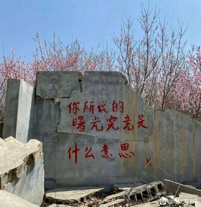 这是一张实地拍摄的静态照片，画面呈现出一片废墟场景：主体是一面开裂、污渍斑驳的水泥残墙，墙前散落着碎砖石、空心砖等建筑垃圾，显得荒凉破败。残墙的墙面上用醒目的红色颜料手写着“你所说的曙光究竟是什么意思”的字样。残墙后方是几株开满粉色花朵的树木，上方是晴朗的蓝天，荒芜的废墟与充满生机的花树形成强烈视觉对比。手写的文字出自摇滚歌曲歌词，带有迷茫、追问的情绪，让画面兼具荒凉感与文艺的惆怅感，传递出在困境中对“希望”的疑惑与迷茫。