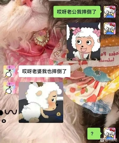 这是一张以穿着可爱服饰的猫咪为背景的聊天记录截图，对话双方用《喜羊羊与灰太狼》的角色玩梗互动。发送方以“哎呀老公我摔倒了”搭配面带微笑的美羊羊图开启对话，模仿撒娇的语气；接收方则回应“哎呀老婆我也摔倒了”，并配上趴在地上、屁股翘起、脸颊泛红的沸羊羊图，打破了原本的撒娇预期，制造出反差搞笑的效果，最后发送方发出问号表示疑惑，让整个互动充满趣味。