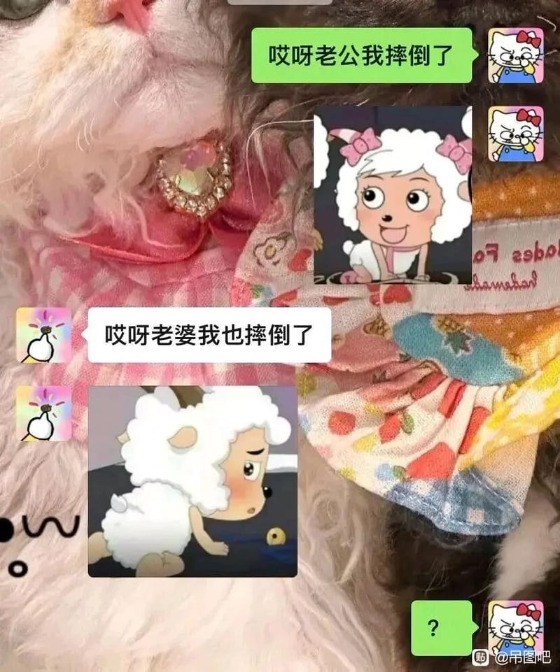 美羊羊