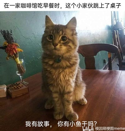 这是一张实拍类的静态搞笑梗图，画面场景设定在一家咖啡馆内，一只毛发蓬松的长毛狸花猫端坐在木质餐桌上，它睁着圆溜溜的大眼睛，脖子佩戴着带有绿色吊坠的项圈，姿态乖巧，眼神里带着明显的期待感。图片上方配有文字“在一家咖啡馆吃早餐时，这个小家伙跳上了桌子”，交代了猫咪出现的场景和背景；下方配文“我有故事，你有小鱼干吗？”，模仿了人类语境里“用故事换酒”的经典说法，将酒替换为猫咪最喜爱的小鱼干，以拟人化的方式给这只跳上桌的猫咪赋予了“有故事的小家伙”的设定，既贴合猫咪的喜好，又营造出一种滑稽又暖心的趣味氛围，让原本普通的宠物实拍图变成了充满网感的萌宠梗图。