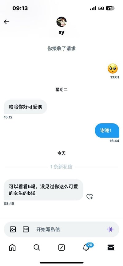 这是一张竖屏手机的Instagram私信聊天界面截图，展示了陌生用户sy与截图持有者的私信对话：对方在通过好友申请后，先夸赞截图持有者可爱，收到礼貌回应后，发送露骨的性骚扰内容，向女生提出要看隐私部位的不当请求，完整记录了一起网络性骚扰的对话过程。