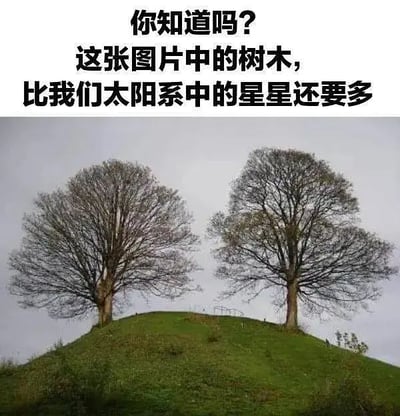 图片上方有文字：你知道吗？这张图片中的树木，比我们太阳系中的星星还要多。下方是一张山丘上的两棵树照片，明显用极其夸张和字面意义在制造“反转”效果。梗在于太阳系除了太阳本身，只有少数几个行星伴星，星“星”其实很少，但图中树有2棵，因此数学成立。

该梗图利用科学知识和常识之间的落差制造幽默感，有明显冷笑话、知识反转的双关意味。