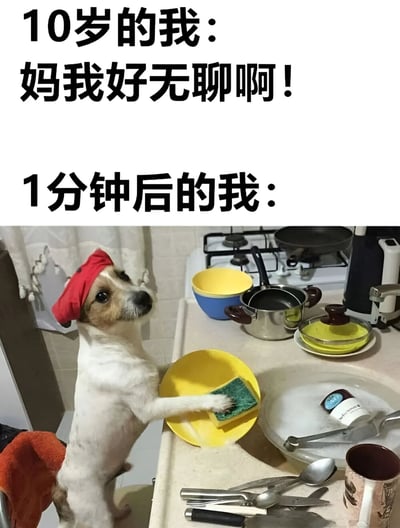 图片上半部分是文字“10岁的我：妈我好无聊啊！1分钟后的我：”，下半部分是一只戴着红色头巾的狗站立在厨房水槽边，用海绵认真地清洗黄色盘子，周围散落着各种餐具和厨具。通过文字与图片的幽默对比，展现了小孩子从无聊到突然忙碌起来的有趣反差。