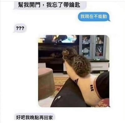 這是一張搞笑梗圖，展示了一個幽默的場景：貓咪坐在主人的腳上不願意移動，導致主人無法起身開門。圖片中，一隻斑紋貓正專注地坐在人的白色襪子上觀看電視，背景可見客廳環境。圖片周圍配有對話文字，上方文字寫著「幫我開門，我忘了帶鑰匙」，中間有表示困惑的「???」和貓咪的回應「我現在不能動」，底部文字則是「好吧我晚點再回家」。整個梗圖通過擬人化的對話，幽默地展現了寵物不聽話時的無奈與可愛。