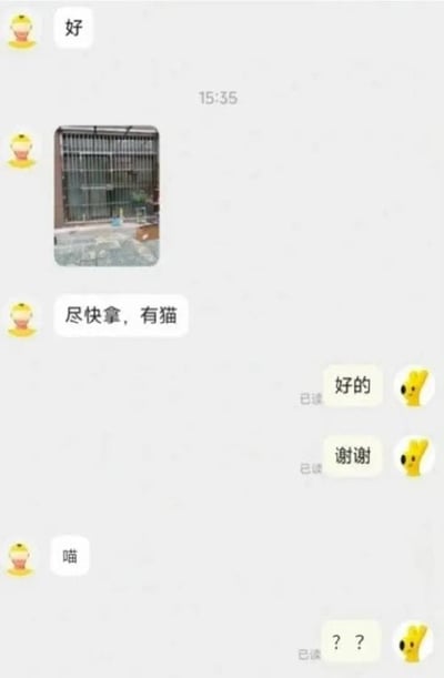 一张聊天记录截图，显示双方使用黄色杯子蛋糕头像的对话场景。15:35时，左侧用户发送一张笼子图片并配文“尽快拿，有猫”，右侧用户回复“好的”“谢谢”，随后左侧用户发“喵”，右侧用户回“？？”，对话充满日常提醒与可爱互动感。