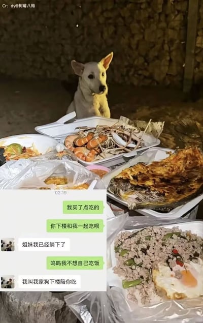 这是一张搞笑图文梗图，背景是夜晚户外石桌，上面摆满了丰盛的餐食，包含虾、烤鱼、炒肉配煎蛋等多种菜品，桌子后方坐着一只浅灰色的狗狗，正乖乖盯着桌上的食物；图片左下方叠加了微信聊天截图，聊天内容为：邀请人买了食物邀请朋友下楼一起吃，朋友表示已经躺下不想出门，邀请人说自己不想独自吃饭，朋友便回复称会叫自家狗狗下楼陪邀请人吃，聊天内容和图中狗狗出现的场景完美呼应，形成反差搞笑效果。