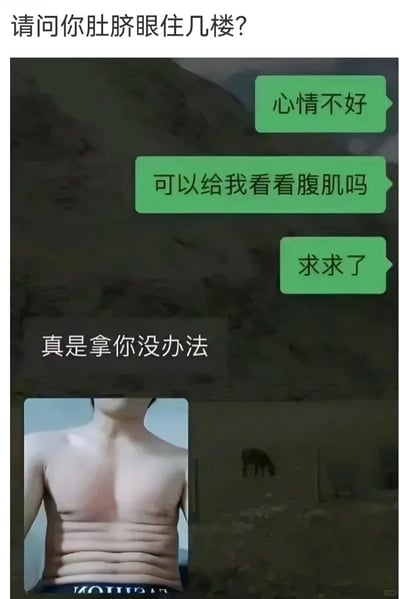 这是一张充满趣味的搞笑图文内容，顶部配有梗标题「请问你肚脐眼住几楼？」，下方展示了一段聊天记录：一方因心情不好，软磨硬泡请求对方给自己看腹肌，在再三恳求下，对方回复「真是拿你没办法」并发送了一张上半身照片。照片中的人物腹部区域的衣物褶皱形成了类似多层肚腩的视觉错位效果，完美呼应顶部的梗，调侃这种多层的腹部看起来仿佛肚脐眼住在最底层，上方有诸多「楼层」，通过这种反差感制造出搞笑效果，满足了请求的同时又用视觉错觉玩梗。