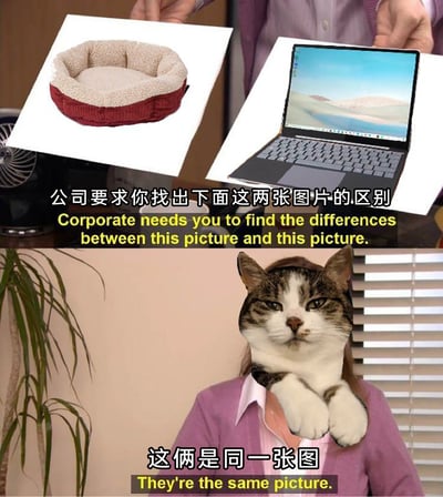 这是一张上下分栏的搞笑改编梗图，上半部分呈现两只手分别持一张圆形毛绒猫窝图和一张笔记本电脑图，配文“公司要求你找出下面这两张图片的区别”及对应英文，模拟职场布置任务的场景；下半部分是头部被替换为无奈表情猫脸的职场人形象，配文“这俩是同一张图”及对应英文。图中利用笔记本电脑桌面的沙地质感与猫窝毛绒部分的视觉相似性制造笑点，调侃职场中无意义的找不同类任务，用猫脸的无奈神态放大职场人面对此类任务的抗拒心态。