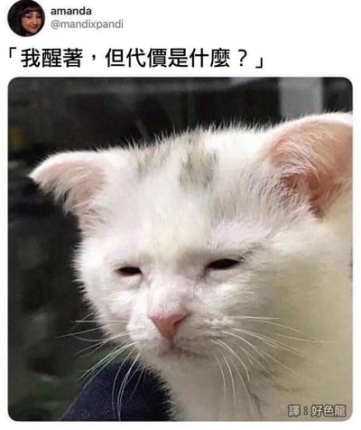 这是一张文字加注的猫咪表情包，图中的白色猫咪眼皮半耷拉着，眼神涣散，面部表情尽显疲惫、无神，仿佛是耗尽所有精力强撑着清醒的状态。上方配文“我醒着，但代价是什么？”，精准戳中了人们熬夜、缺觉或者被迫保持清醒时的身心俱疲，很容易引发当代人尤其是经常熬夜、加班群体的共鸣，图中没有双关、谐音梗等内容。