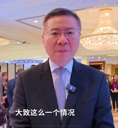 这是一段采访视频的截图，画面主体是一位身着深色西装、佩戴眼镜的中年男士，他的左西装领口别着领夹式麦克风，正处于一个装修精致、悬挂大型水晶吊灯的室内大厅环境中，背景里还有多位行人，看起来像是在某个正式的会议或商务活动现场。画面下方配有字幕“大致这么一个情况”，男士正面对镜头，以平静严肃的语气向观众陈述相关情况，整体氛围正式专业。