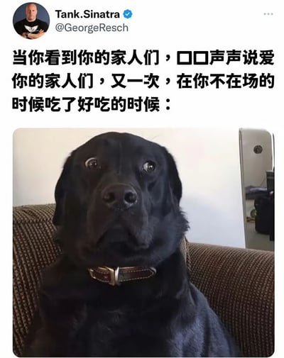 这是一张社交媒体截图，上方为Twitter用户Tank.Sinatra的发文，内容描述当发现家人们在自己不在场时偷吃好吃的场景。下方配图是一只黑色狗狗坐在棕色沙发上，双眼圆睁，表情震惊又带点委屈，完美呼应了文字中那种被“背叛”的感受，整体营造出幽默又共鸣的家庭日常氛围。