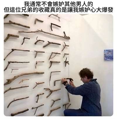 图片上方配有文字‘我通常不會嫉妒其他男人的 但這位兄弟的收藏真的是讓我嫉妒心大爆發’，下方是一名穿着蓝色格子衬衫的男子正跪在地上，用工具将树枝固定在白色墙面上。墙面已整齐排列着许多形态各异的树枝，形成独特的墙面装饰，右侧墙上还挂着一幅小幅画作。整体场景通过文字与画面结合，幽默地表达了对这种创意‘收藏’的羡慕之情。