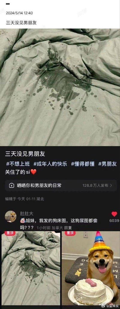 这是一组源自社交平台的搞笑拼接截图，内容分为三个部分：第一部分是一位用户发布的带有大片深色湿痕的床单图，配文“三天没见男朋友”，并搭配#不想上班 #成年人的快乐 #懂得都懂 #男朋友 这类暗示情侣亲密互动的标签，试图营造暧昧氛围，误导网友认为湿痕是情侣亲密行为留下的痕迹；第二部分是用户“肚肚大”的置顶回复，该用户指出这张图其实是自己发布的自家狗狗尿床的图，同时放出了原图；第三部分是这位用户放出的自家柴犬的照片，柴犬戴着彩色生日帽，趴在生日蛋糕前吐舌头，状态十分开心。整个内容的笑点在于利用床单湿痕的相似性，将宠物尿床的场景被误用来暗示情侣私密互动，形成了强烈的反差感，制造出社死又搞笑的效果。