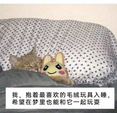 这是一张趣味二次创作的萌宠图片，一只浅棕色的小猫盖着带有深色十字图案的被子，枕在灰色枕头上闭眼熟睡，它伸出被子外的爪子被贴上了一个有着大耳朵、黑亮眼睛和微笑表情的皮卡丘风格卡通贴纸，搭配下方的拟人化文案“我，抱着最喜欢的毛绒玩具入睡，希望在梦里也能和它一起玩耍”，制造出小猫把自己的爪子当成毛绒玩具抱着入睡的可爱错觉，整体画面温馨治愈，充满趣味感。