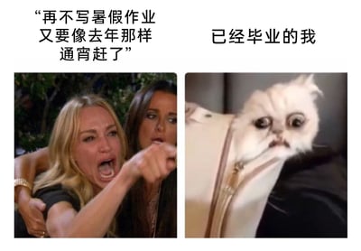 这是一张左右分栏的对比类搞笑梗图，左侧是一位被人从身后抱住、情绪极度激动的女性，她大张着嘴嘶吼，手指向前方，配文“再不写暑假作业又要像去年那样通宵赶了”，精准还原了未毕业学生在暑假末期面对未完成作业时的焦虑与恐慌；右侧是一只从包内探出头的猫咪，表情呆滞茫然，配文“已经毕业的我”，表现出已经脱离学生身份的人，以旁观者的轻松心态看待暑假作业焦虑的状态。整张图通过强烈的情绪反差，戳中了毕业人群的共鸣，用幽默的方式调侃了暑假作业这一学生时代的“经典烦恼”，引发不同身份人群的共情与笑点。