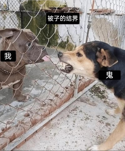 这是一张调侃日常怕鬼心态的网络梗图，用两只狗隔着铁丝网的互动场景来比喻人们晚上怕鬼时的状态：左侧标注为“我”的狗站在铁丝网（标注为“被子的结界”）后方，表情怯懦，吐着舌头，呈现出胆战心惊的样子；右侧标注为“鬼”的狗则张着嘴露出牙齿，表情凶狠地对着另一侧吼叫，仿佛是人们想象中鬼的样子。整张图通过生动的动物互动，幽默地还原了很多人晚上躲在被子里，把被子当成保护自己的结界，内心害怕“鬼”的有趣日常。