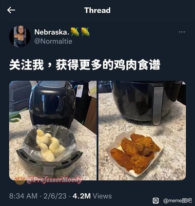 这是一张来自社交平台X（原Twitter）的恶搞梗图，采用左右对比的呈现形式：左侧画面里，空气炸锅的容器中装着几只活的小鸡，右侧则是一盘炸好的鸡翅，搭配配文“关注我，获得更多的鸡肉食谱”，通过荒诞虚假的“食谱”设定制造反差笑点，暗示将活小鸡制作成炸鸡翅，实际是无厘头的恶搞，并非真实烹饪方法。该帖子发布于2023年2月6日，获得了420万次浏览量，还在国内的meme图吧传播。
