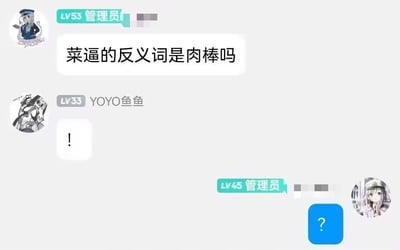 这是一张聊天对话截图，展示了三个人物之间的简短交流。LV53管理员提出了一个问题："菜逼的反义词是肉棒吗"，LV33的YOYO鱼鱼只回复了一个感叹号"!"，而LV45管理员则用一个蓝色方块中的问号"?"作为回应。对话中使用了网络流行语"菜逼"，形成了一种幽默搞笑的效果。