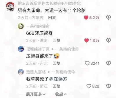 这是一张社交媒体评论区的截图，最上方的评论以“朋友告诉我昵称太长就会有狗跟着念”为引子，说出“猫有九条命，大运一边有11个轮胎”，模仿长昵称被狗念的断句效果制造笑点；下方网友回复“666还压起身”“压起身都来了😆”等内容，玩起了“压起身”谐音“亚索”（《英雄联盟》英雄）的梗，形成了有趣的网友互动，整体氛围欢乐搞笑。
谐音梗说明：“压起身”是游戏《英雄联盟》中英雄“亚索”的谐音，网友借此玩梗，让评论互动更具趣味性。