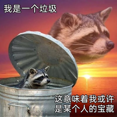 这是一张经过图像合成创作的治愈系梗图，画面主体是一只小浣熊待在开盖的金属垃圾桶中，背景是夕阳映照下的橙红色海面，同时在画面上方有一个巨型浣熊头像悬浮于海面之上。图中配有两段中文文字，上方的“我是一个垃圾”是垃圾桶里的浣熊的自我贬低式自嘲，结合浣熊常翻找垃圾桶的习性，强化了这种自我否定的情绪；下方的“这意味着我或许是某个人的宝藏”则是一种带有期许的自我安慰，传递出在自我怀疑中仍抱有被认可、被珍视的希望的复杂心情，整体画风温暖又带着淡淡的丧感。