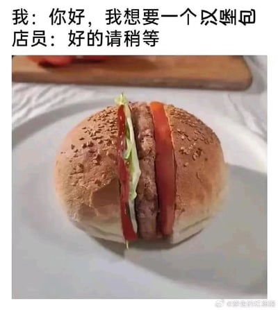 这是一张趣味梗图，上方通过对话形式呈现顾客向店员点单，点的是一个由特殊象形乱码表示的食物，店员回应后，下方的图片展示了完全还原该乱码形状的创意汉堡：将汉堡的上下面包完全闭合，仅在中间的缝隙中夹入肉饼、生菜、番茄片和酱料，把常规汉堡改造成了和乱码外形一致的闭合造型，用这种精准还原象形符号的创意操作，制造出荒诞又搞笑的反差效果，让人忍俊不禁。
