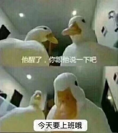这是一张连环式的图文混排梗图，分为上下两个部分，均采用真人佩戴白色鸭子头套的形象构建场景。上半部分中，左侧的鸭子头套角色侧头看向右侧同伴，配文“他醒了，你跟他说一下吧”，表现出一种不愿直面传达消息的推诿状态；下半部分里，一只鸭子头套角色正对镜头，配文“今天要上班哦”，仿佛在对着刚睡醒的人传达这个令人抗拒的消息。整个图用拟人化的搞笑场景，精准戳中职场人不想上班、抗拒工作的负面情绪，是用来调侃职场日常的趣味表情包。