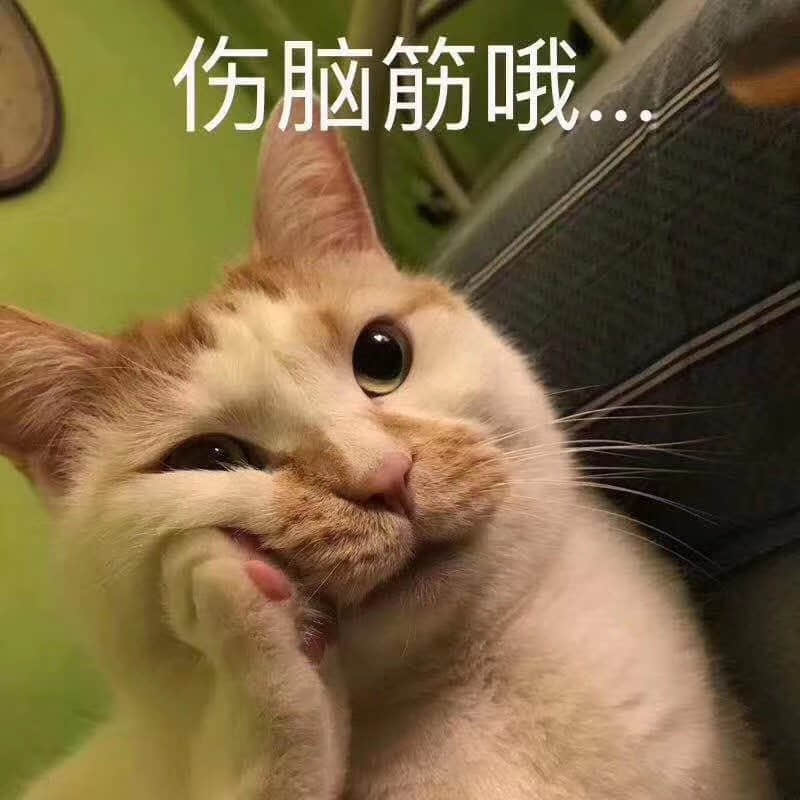 歪头思考的橘白猫表情包