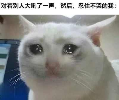 图片上方配有文字'对着别人大吼了一声，然后，忍住不哭的我：'，下方是一只白猫的特写镜头。猫咪双眼含泪，眼神中充满委屈与悲伤，正直视前方，仿佛在努力克制自己的情绪。图片通过猫咪的表情生动展现了人们在对他人发脾气后，内心感到后悔并强忍泪水的复杂情感，整体风格幽默又带点心酸。