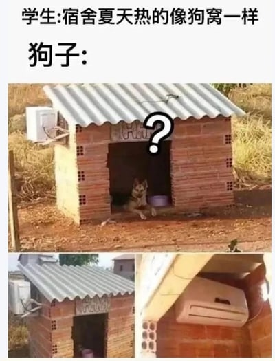 图片上方文字显示学生抱怨“宿舍夏天热的像狗窝一样”，下方“狗子:”引出一张狗窝实拍图。主图中是一座红砖搭建的狗窝，屋顶为波纹铁皮，侧面安装了一台空调外机，狗窝门口趴着一只狗，头顶有一个大大的问号。下方另有两张小图，分别展示狗窝全景和空调外机特写。图片通过双关梗制造幽默：学生用“狗窝”比喻宿舍闷热，而实际狗窝却配备了空调，形成反差萌，狗子的困惑表情更添喜剧效果。