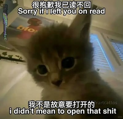 这是一张贴合日常社交场景的搞笑表情包，画面主体是一只眼神圆睁、神态可怜愧疚的小猫，搭配中英双语的文字内容，上方文字为“很抱歉我已读不回 Sorry if i left you on read”，下方文字为“我不是故意要打开的 i didn't mean to open that shit”，精准表达了人们在社交中不小心点开消息却不想回复、只能已读不回的尴尬与愧疚心情，用可爱的猫咪形象弱化了已读不回的失礼感，十分适合用于向对方解释自己已读不回的原因。