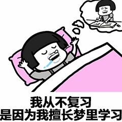 梦里学习大师