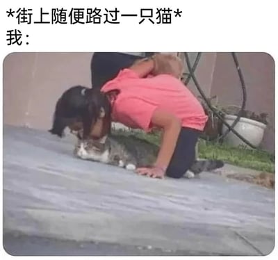 图片上方配有文字“*街上随便路过一只猫* 我:”，下方是一位穿粉色上衣的女性正双膝跪地，俯身亲吻一只灰白相间的猫咪。猫咪趴在地上，表情平静，而女性则表现出极度的喜爱和热情，形成一种夸张而幽默的对比，展现了爱猫人士遇到猫咪时的典型反应。