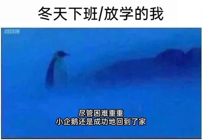 这是一张能引发广泛共鸣的搞笑梗图，顶部配文“冬天下班/放学的我”，画面主体是一只小企鹅在风雪交加的极寒环境里艰难跋涉，身形几乎被风雪淹没，底部配文“尽管困难重重，小企鹅还是成功地回到了家”。该图用南极企鹅在极端恶劣天气中艰难归家的场景，精准比喻了冬日里下班或放学的打工人、学生群体，顶着凛冽寒风与恶劣天气赶路，最终成功到家的状态，生动又贴切地表现出冬日通勤的辛苦与不易，以幽默的方式调侃日常通勤的艰难，能让广大打工人和学生产生强烈的情感共鸣。