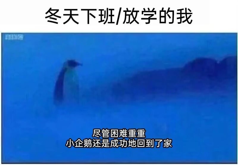 自然纪录片素材