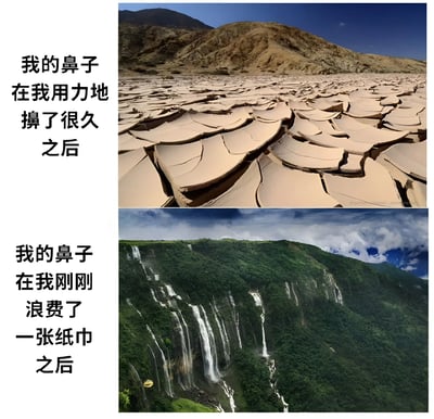 这张梗图通过对比两张不同的自然景观图，幽默地表现了鼻子在用力擤完后干燥（像干裂的土地）和浪费纸巾后突然流鼻涕（像瀑布）的两种状态，引发共鸣。