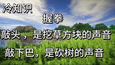 这是一张以沙盒游戏《我的世界》（Minecraft）的像素风户外自然场景为背景的趣味冷知识梗图。图中用白色带黑边的醒目文字标注了一个脑洞联动的冷知识：握拳后，用指节敲击自己的头部，发出的声响和游戏内挖草方块的音效相似；敲击下巴的声响则和游戏里砍伐树木的音效类似。内容通过将现实中的肢体动作音效与经典游戏内的操作音效关联，精准戳中《我的世界》玩家的共同记忆，充满趣味性和脑洞，容易引发玩家的共鸣和尝试欲。