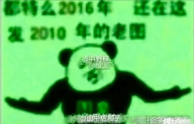 这是一张绿底黑调的熊猫头网络表情包，图中熊猫头人物被P上人脸，双手摊开，呈现出无奈又吐槽的姿态。上方配文以接地气的口语化表达“都特么2016年 还在这发2010年的老图”，直指在2016年仍发布过时老图的行为，传递出对内容陈旧、脱离时效的不满与调侃。图中还带有多处网络用户账号水印，包括@中野梓、@绫波、@山田佐和子等，是创作者或传播者留下的标识，整体风格戏谑直白，精准击中网络中内容时效性的槽点。