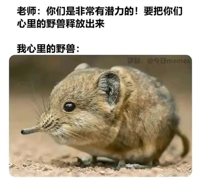 这是一张反差感拉满的搞笑梗图，采用图文混排的形式呈现。上方是老师的激励话语：“你们是非常有潜力的！要把你们心里的野兽释放出来”，老师期望学生能激发内在的强大力量；下方则配了一张象鼩的真实照片，这只小动物外形小巧圆润，眼神平静，趴在地面上显得慵懒又温顺，完全没有“野兽”的凶猛感。这强烈的反差精准地调侃了很多人在被鼓励时的真实心理：自己并没有什么强大的内在潜力，只有这种佛系、没干劲的软萌状态，用幽默的方式戳中了大众的共鸣点。