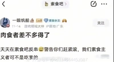 这是一张社交媒体截图，显示来自“素食吧”的用户“一眼帆船”（Lv.8 游戏领域大神，IP属地广东）于11月14日发布的帖子。帖子内容为批评肉食者在素食吧的反串行为，原文写道：“肉食者差不多得了 天天在素食吧反串 😊警告你们赶紧滚，我们素食主义者可不是吃素的”。其中“我们素食主义者可不是吃素的”是典型的语言幽默，利用“吃素的”在口语中“好欺负、软弱”的引申义，形成反差笑点，表面说自己是素食者，实际表达“不好惹”的态度。