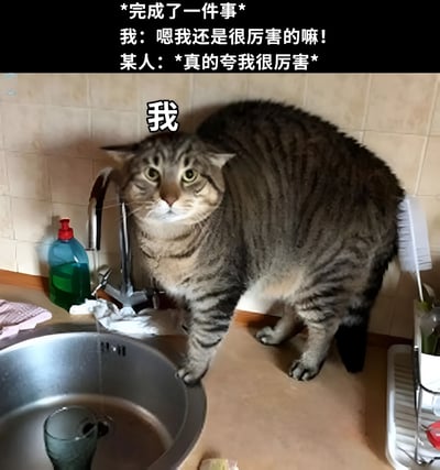 图片展示了一只站在厨房水槽边的胖虎斑猫，猫的体型被夸张处理得格外庞大。图片上方配有文字：'*完成了一件事* 我：嗯我还是很厉害的嘛！某人：*真的夸我很厉害*'，猫身上标注了'我'字。这张梗图通过胖猫形象幽默地表现了人们完成任务后自我感觉良好，以及被他人夸奖时内心膨胀的有趣心理状态。